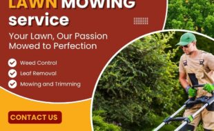 An untrimmed lawn can make your home look untidy and less attractive. Dependable Lawn Care and Construction Corp offers reliable lawn mowing services in Staten Island to keep your yard neat, clean, and beautiful all year long. Contact us today for high-quality service you can trust!